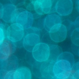 Bokeh-446
